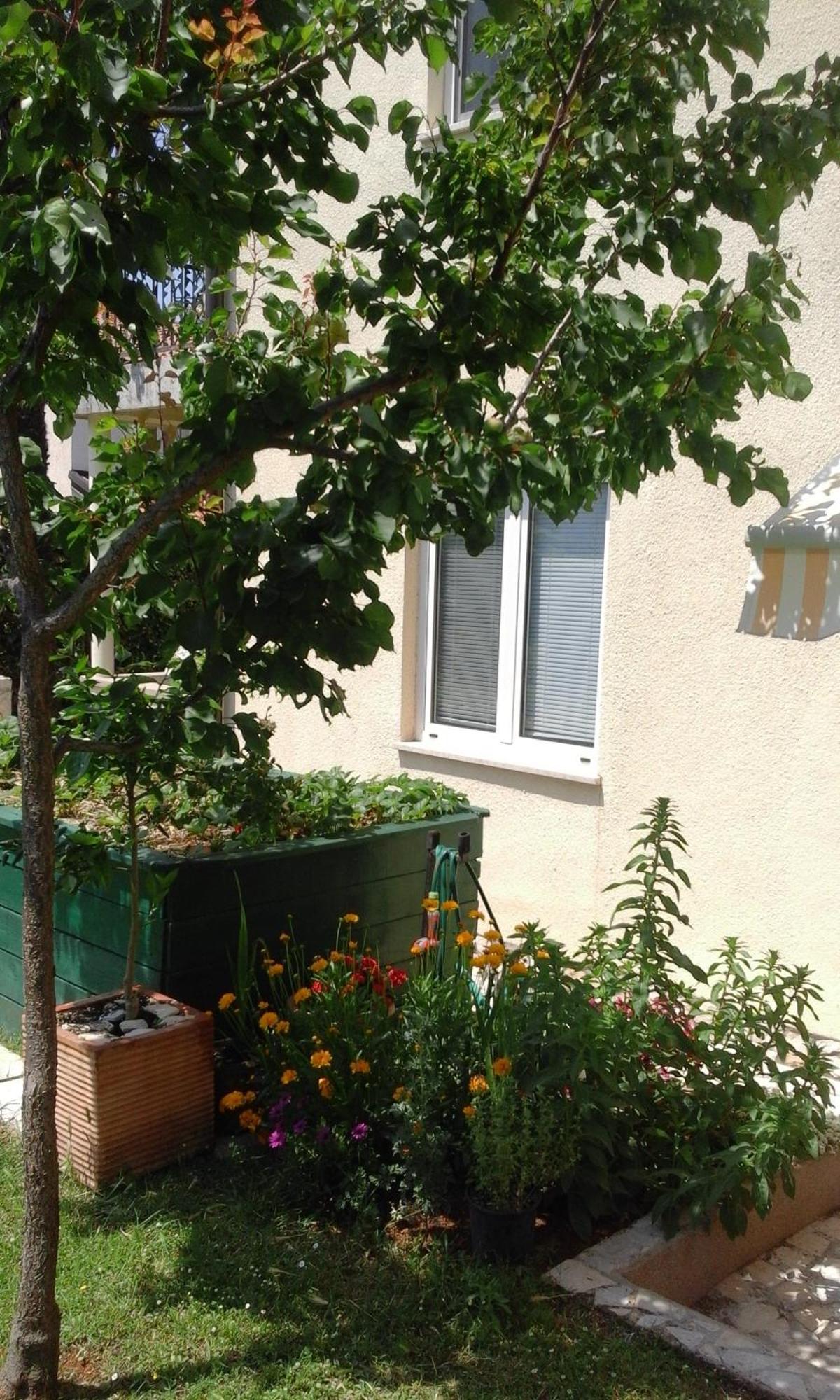 Apartment Laura Porec Exterior photo